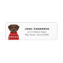 Search for chocolate labrador return address labels Retriever