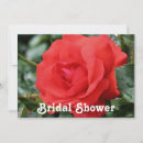 Search for red rose bridal shower invitations Pretty