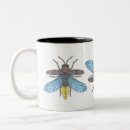Recherche de lucioles tasses Insecte