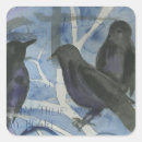 Recherche de corneille autocollants Aquarelle