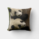 Search for giant panda pillows Asia