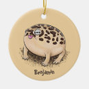 Search for desert ornaments Animal