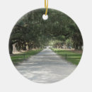 Search for charleston sc ornaments House