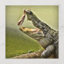 Recherche de wildlife invitations Fête d'anniversaire