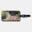 Recherche de floride bagages étiquettes Faune