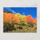 Search for trunk horizontal postcards Autumn