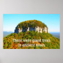 Recherche de arbre géant art Nature