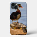 Search for drake iphone 7 cases Bird