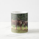 Search for clydesdale mugs Nature