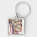 Search for neck keychains Human