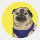 Search for pet me stickers Animals