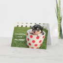Search for on your new puppy congratulations cards Canine