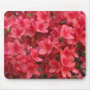 Recherche de azalées tapis souris Photographie
