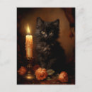 Search for black kitten postcards Whimsical