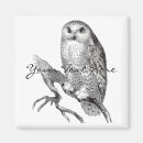 Recherche de chouettes magnets Vintage