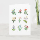 Search for digital illustrator cards Elegant