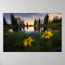 Recherche de mountain posters Sunrise
