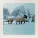 Search for snow scene puzzles Wildlife