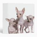 Search for bond binders Animal