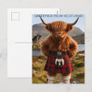 Search for highland cow cards invites Scotland