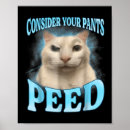 Search for cat meme posters Maga