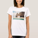 Search for cabo san lucas tshirts Photography