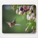Search for hummingbird mousepads Animals