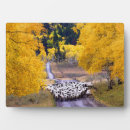 Search for roads plaques Country