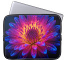 Search for cosmic cases Supernova