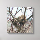 Search for abandoned canvas prints Photography