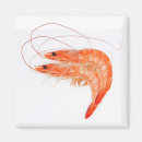 Recherche de fruits mer de magnets Crevettes