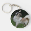 Search for long haired chihuahua keychains Looking up