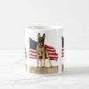 Recherche de malinois tasses Belge