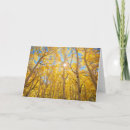 Search for aspen trees cards Forest