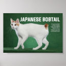 Recherche de bobtail posters Félin