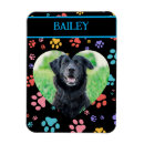 Recherche de patte de chien magnets Toute personne