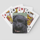 Recherche de spitz jeux de cartes Loulou