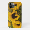 Recherche de tournesol électronique Brillant