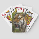 Search for show games Animal