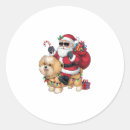 Search for chow stickers Weimaraner