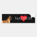 Recherche de malinois voiture autocollants Pour tous