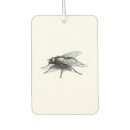 Recherche de science voiture accessoires Humour