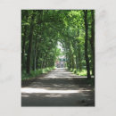 Search for forrest postcards Wood