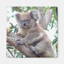 Search for furries magnets Australian