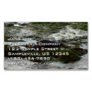 Search for seal business cards Ocean