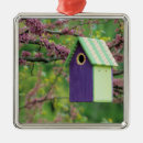 Search for attraction ornaments Green