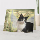 Search for cat sympathy cards Death
