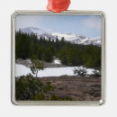 Recherche de nevada ornements Nature