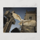 Recherche de mouvement cartes postales Partie du corps animal