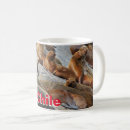 Recherche de otaries tasses Lion